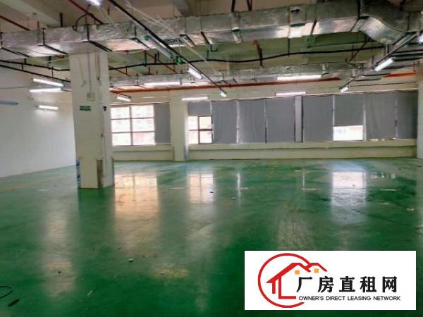  新天下华赛工业园厂房业主直租