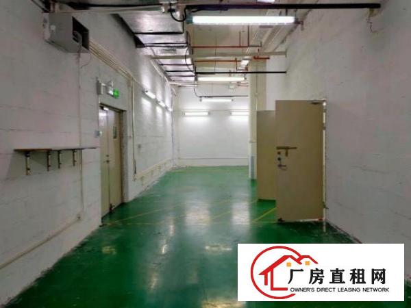  新天下华赛工业园厂房业主直租