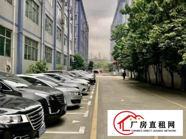  开发商一手直租，招商面积400-1350平不等。