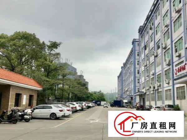  开发商一手直租，招商面积400-1350平不等。