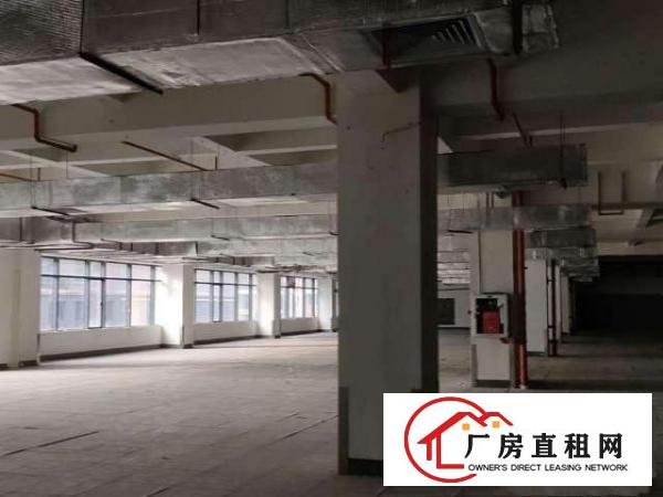  新天下华赛产业园厂房招租
