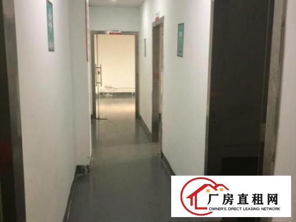 坂田带装修厂房仓库办公
