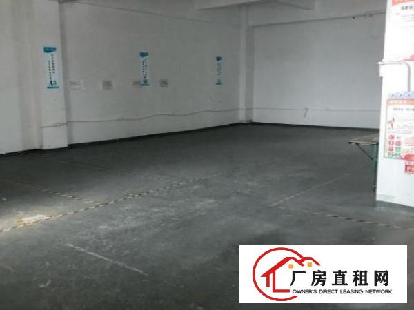  坂田带装修厂房仓库办公