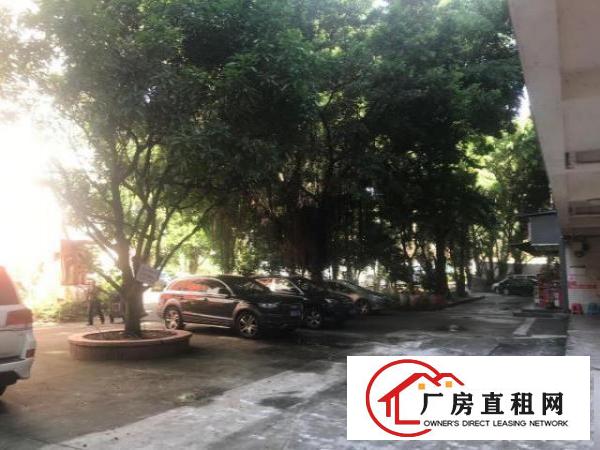  龙岗坂田楼上可做培训带装修800平出租