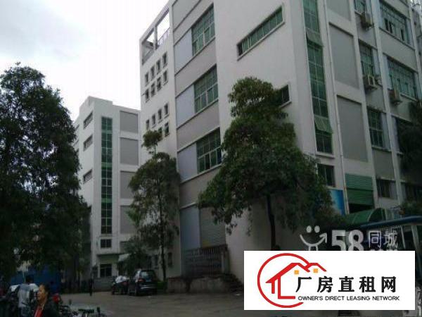  龙壁工业区地铁口空出3楼850平带装修适合电商贸易办公