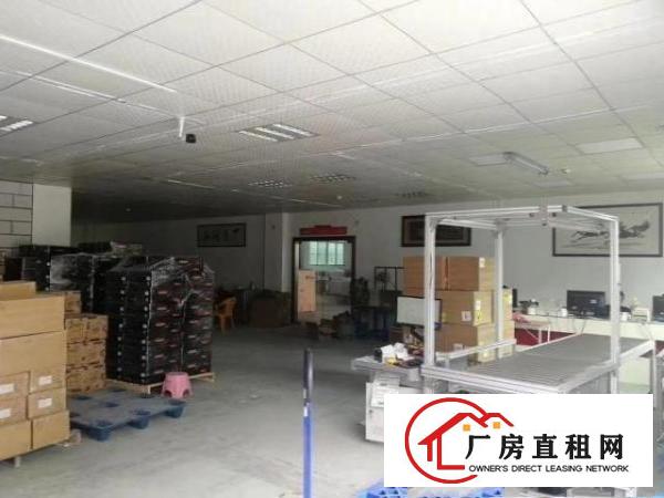  坂田五和南坑新出一楼600平物流电商
