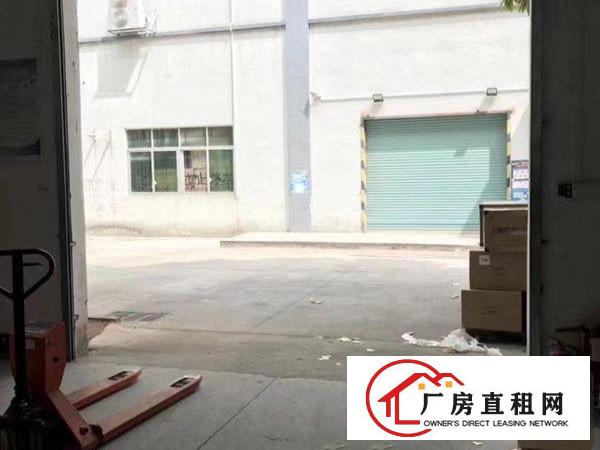  坂田新出一楼整层物流仓库