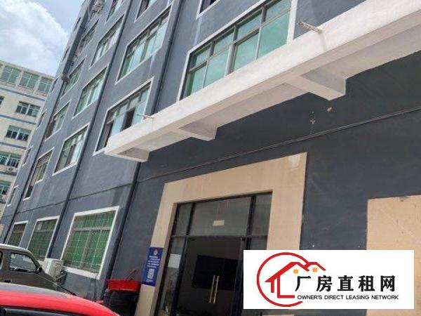  雪象地铁工业厂房招租，面积514平方，零分滩