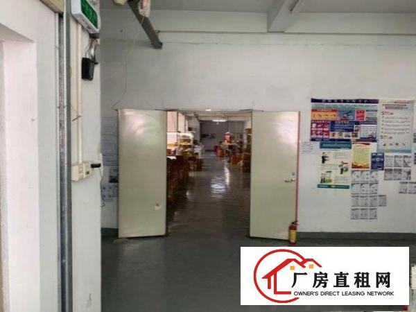  雪象地铁工业厂房招租，面积514平方，零分滩
