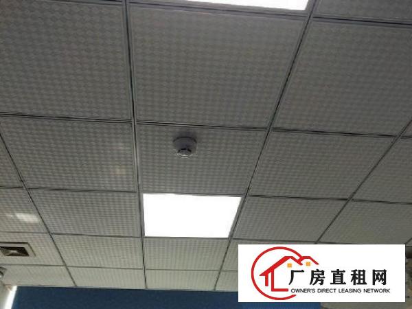  上雪科技园厂房办公室出租分租