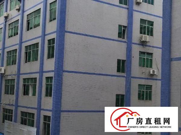  上雪科技园厂房办公室出租分租