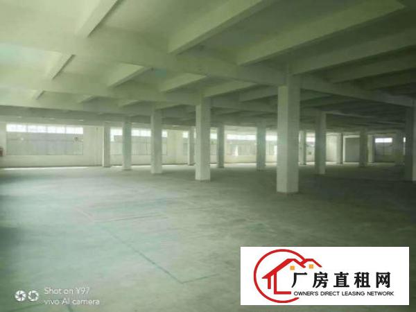  出租龙岗区坂田3600方厂房对外招租