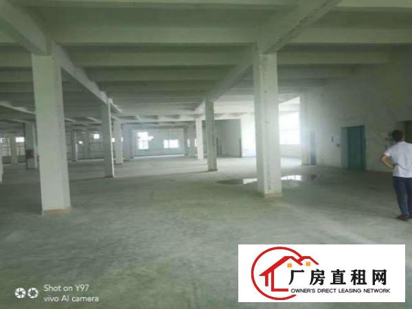  出租龙岗区坂田3600方厂房对外招租