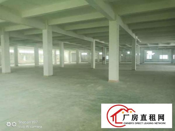  出租龙岗区坂田3600方厂房对外招租