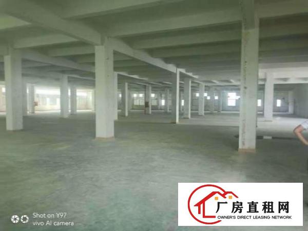  出租龙岗区坂田3600方厂房对外招租