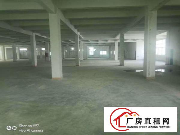  出租龙岗区坂田3600方厂房对外招租