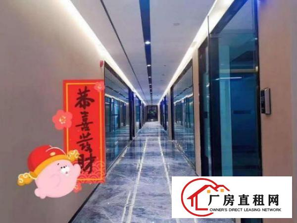  出租龙岗区坂田218方写字楼对外招租