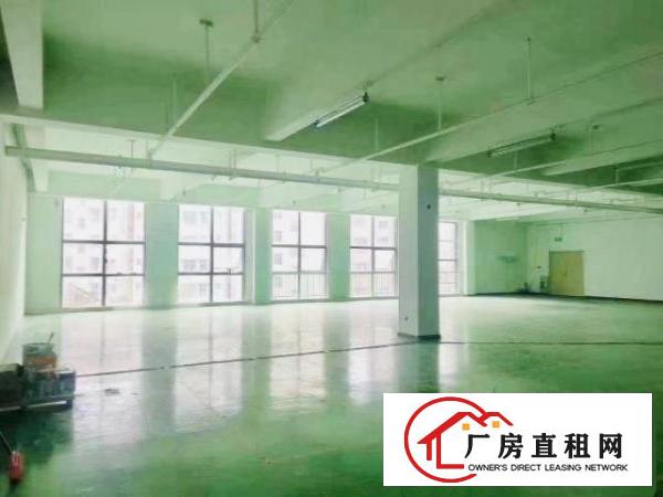  华为旁新出红本，单层2500平精装出租，电商，科技，研发