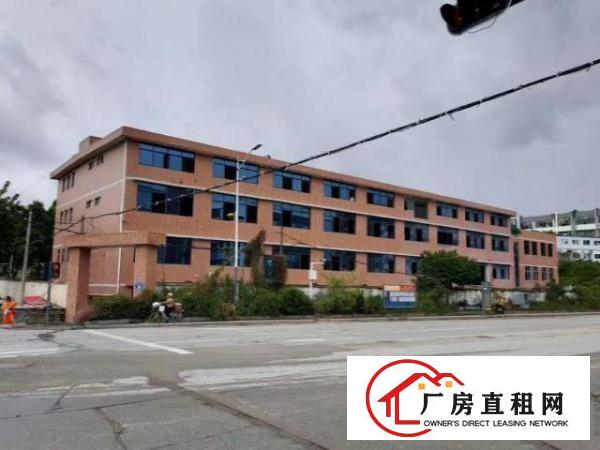  坂田小独栋火爆出租整栋四层6000平方招租整租，分租均可