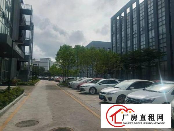  坂田工业园标准厂房出租.带装修！