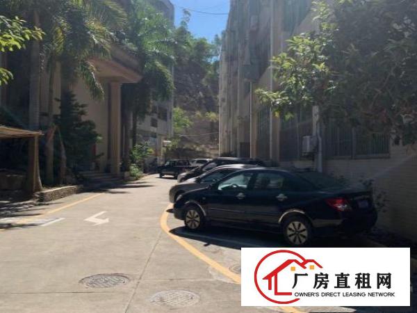  布吉地铁口附近一楼厂房255平米，业主直接招租