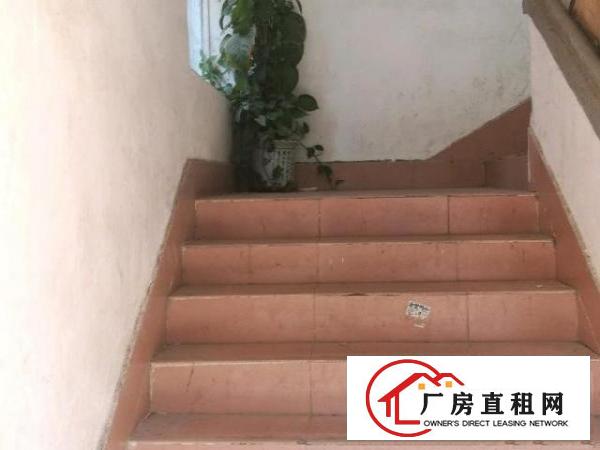  坂田金鹏工业区三栋工业厂房电商仓储办公业主出租免佣