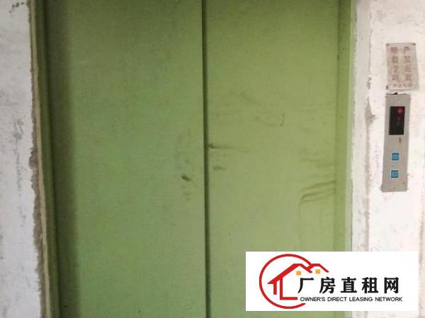  坂田金鹏工业区三栋工业厂房电商仓储办公业主出租免佣