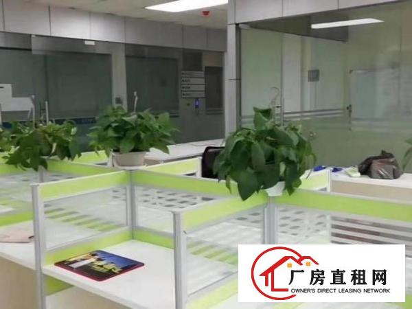  五和地铁口办公室大小面积招租，交通方便，带工作卡位