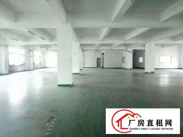  坂田龙壁工业区新出三楼600平带装修厂房招租
