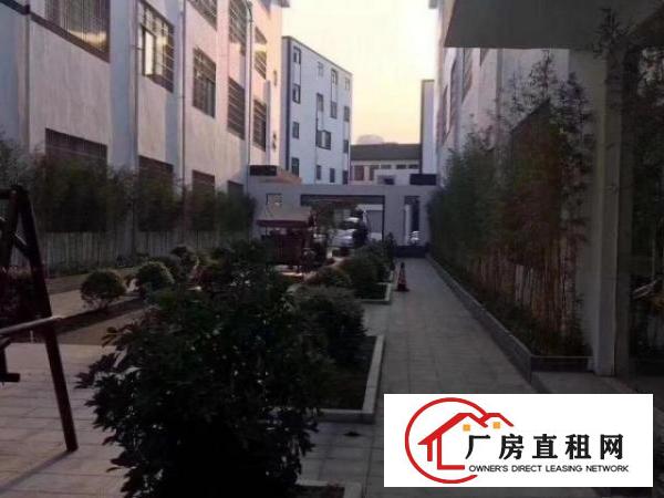  出租龙岗坂田光雅园一楼960方可分