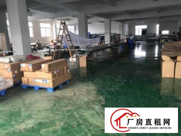  龙岗分租原房东独院标准厂房二楼1300平方，可环评
