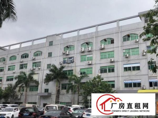  坂田天安云谷旁厂房出租360平米，550平米，1000平米