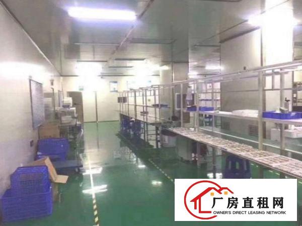  龙岗新出楼上1000平带精装豪华装修厂房出租