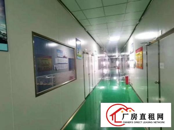  龙岗新出楼上1000平带精装豪华装修厂房出租