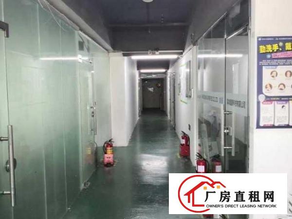  出租坂田260/150/100/50平精装办公室厂房仓库