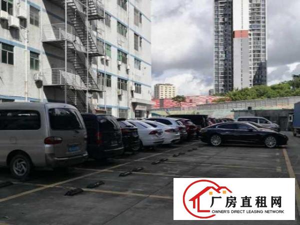  出租坂田260/150/100/50平精装办公室厂房仓库