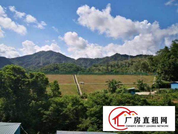  出租坂田260/150/100/50平精装办公室厂房仓库