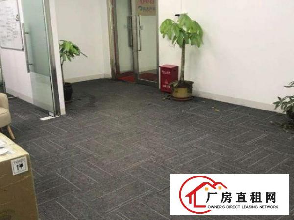  上雪工业区200平280平600平1000平厂房仓库招租