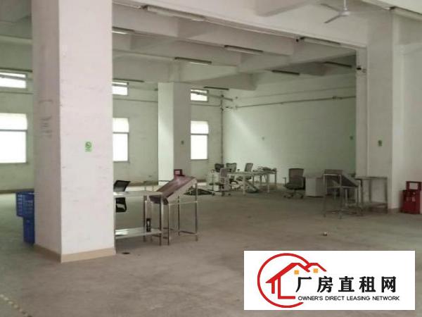  坂田地铁口新出一楼厂房768平物流仓储水电齐全带家具无转让费