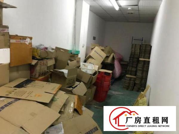  急转龙岗坂田300方价格优惠