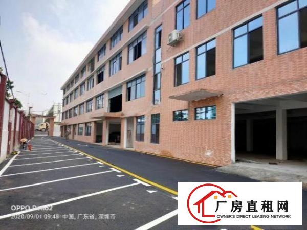  独门独院，坂田后一个。有红本十年合同