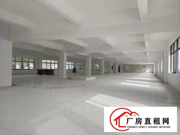  独门独院，坂田后一个。有红本十年合同