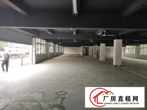  独门独院，坂田后一个。有红本十年合同