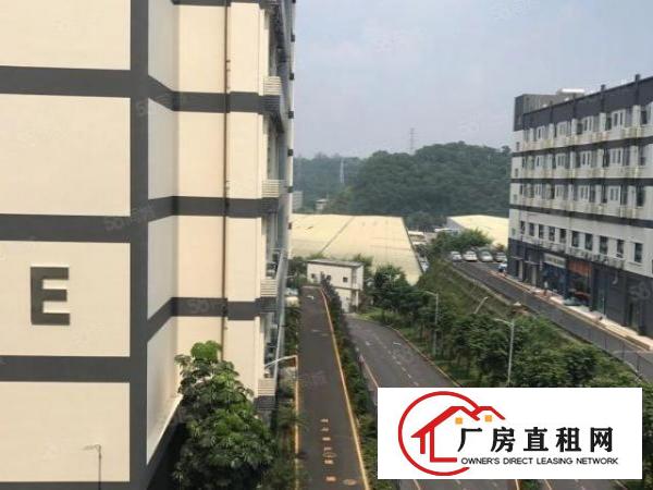  杨美地铁口电商园精装修办公仓库116起租大小面积都有