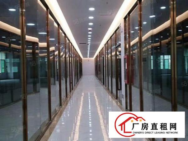  杨美地铁口电商园精装修办公仓库116起租大小面积都有
