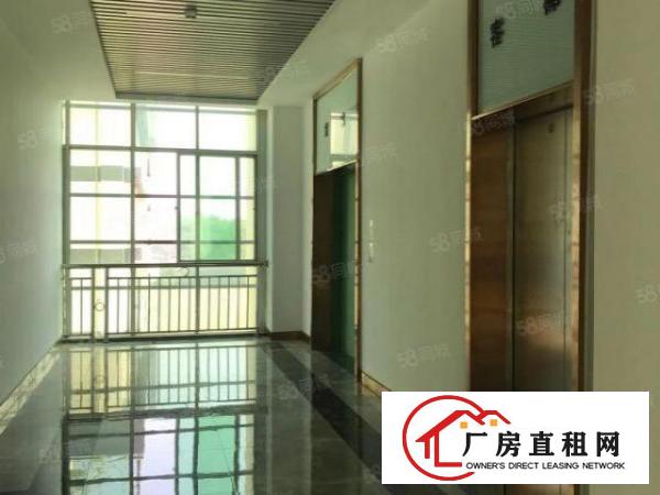  杨美地铁口电商园精装修办公仓库116起租大小面积都有