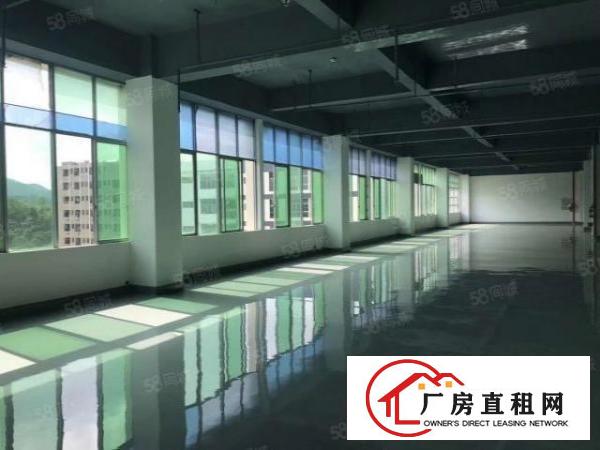  杨美地铁口电商园精装修办公仓库116起租大小面积都有