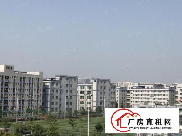  坂田稳定求胜园区，160至2500平，企业复工，条件好谈