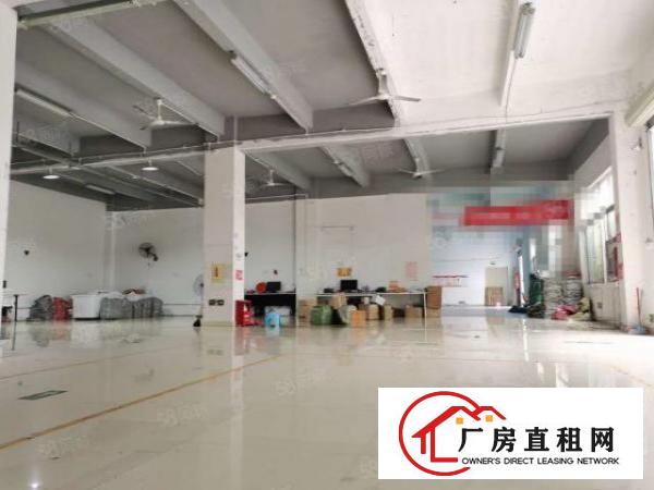  坂田雅园地铁站旁！一楼精装厂房办公室仓库2000平！可分租！