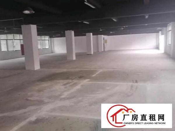  6000平稀缺独门独栋厂房出租，高速路口物业